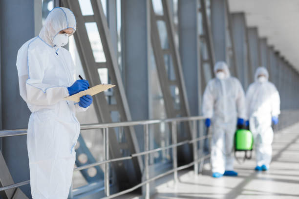 Best Biohazard Mold Removal  in Sebewaing, MI