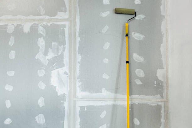 Best Emergency Mold Remediation  in Sebewaing, MI