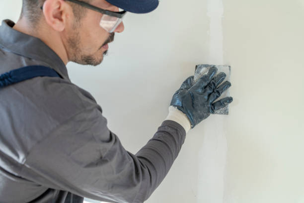 Best Mold Remediation for Healthcare Facilities  in Sebewaing, MI