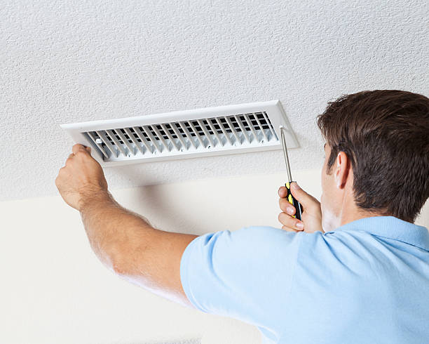 Best Attic Mold Removal  in Sebewaing, MI
