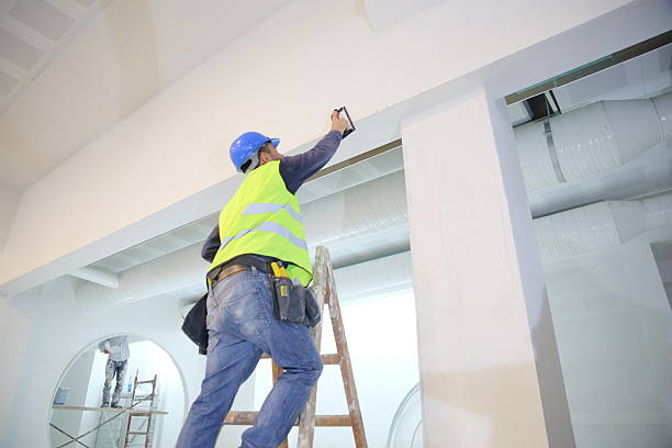 Best Asbestos and Lead Testing During Mold Inspection  in Sebewaing, MI